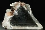 Large, Glassy Selenite Crystal - Naica Mine, Mexico #372139-1